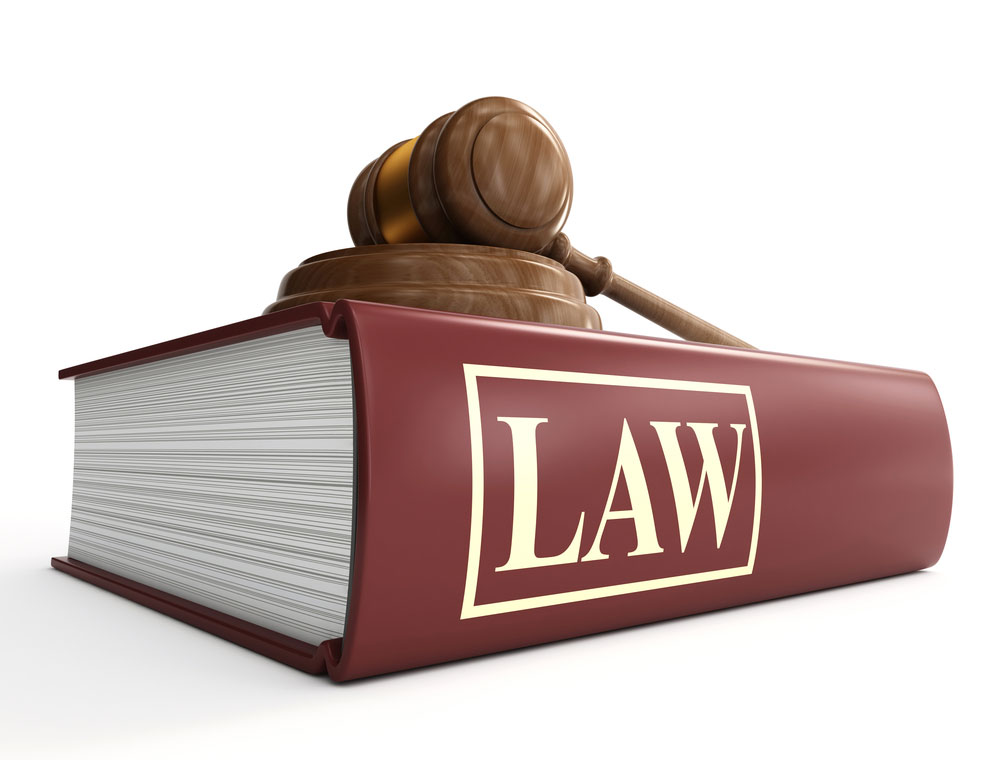 How Does A Law Come Into Force In India?