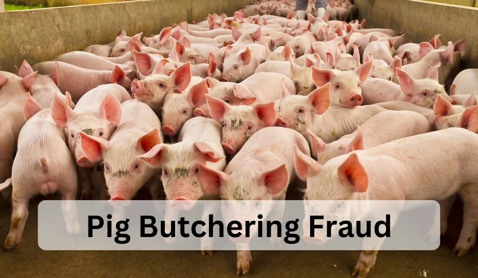 Pig Butchering Fraud and Cyber Law